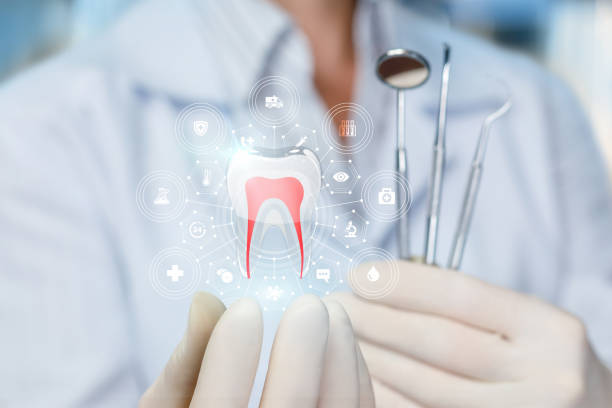 Best Traditional Braces  in Hewlett Harbor, NY